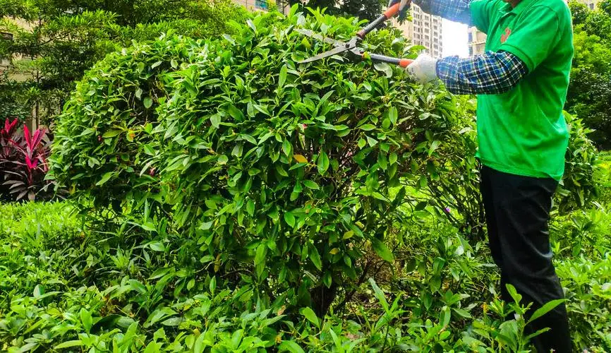 jn江南公司，网球拍玫瑰金色好看吗贴吧