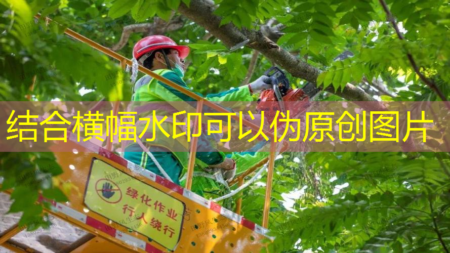 <strong>jn江南公司，网球拍拍收纳技巧图解法</strong>