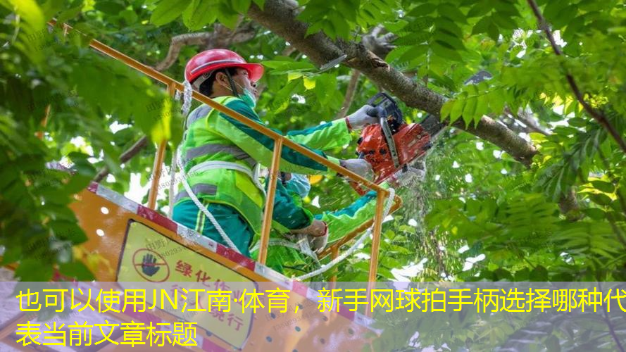 <strong>JN江南·体育，新手网球拍手柄选择哪种</strong>