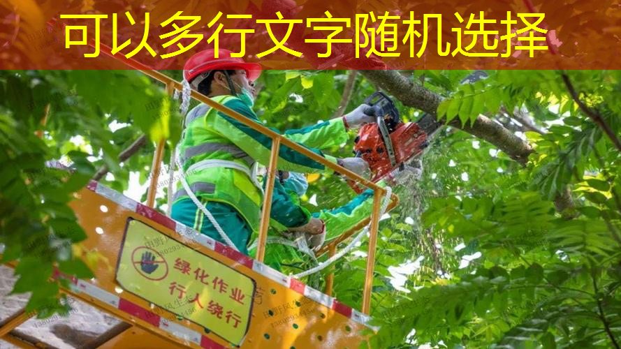 江南俱乐部，普洱室内健身器材