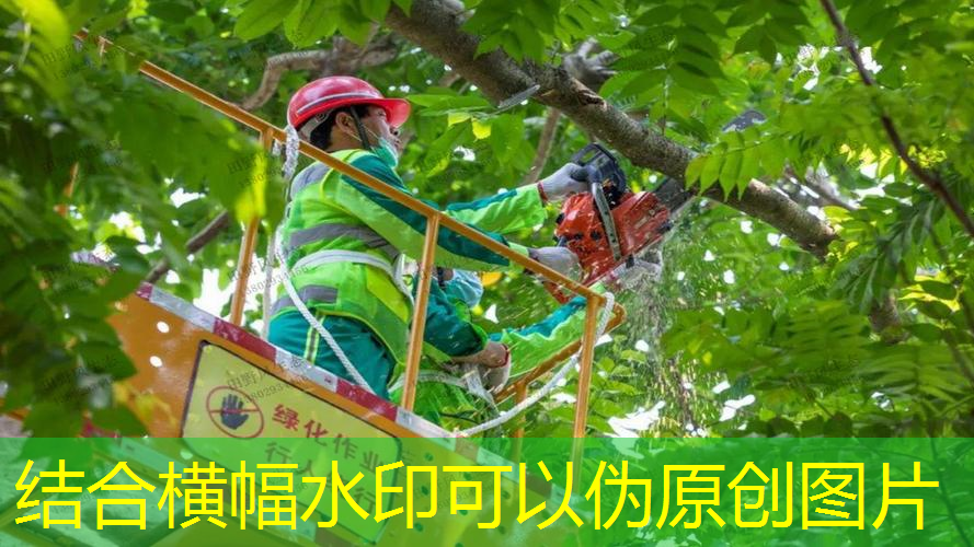 <strong>初次接触塑胶跑道材料？别担心，我们给你分类指南！</strong>