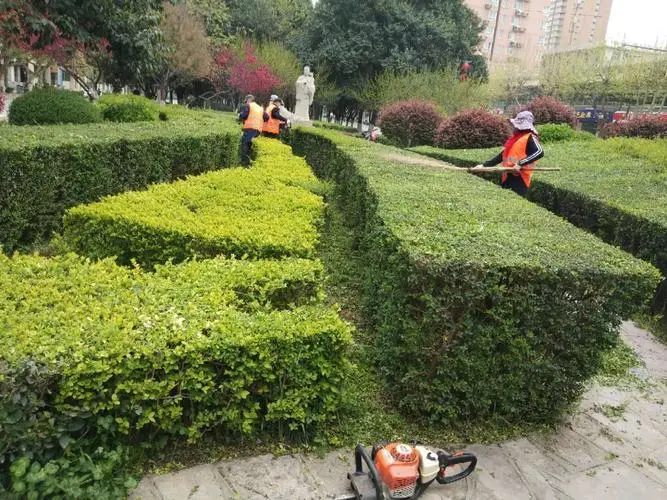 网球拍减重器咋用图解