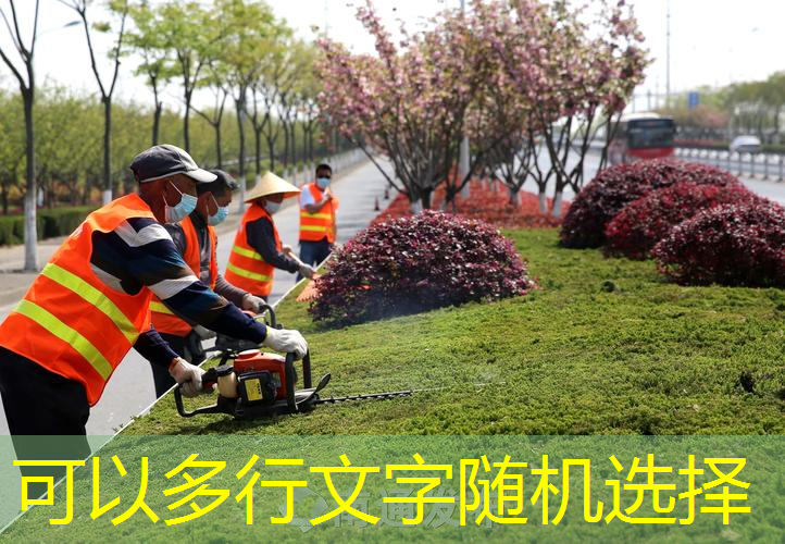 网球拍最中庸的平衡点选择