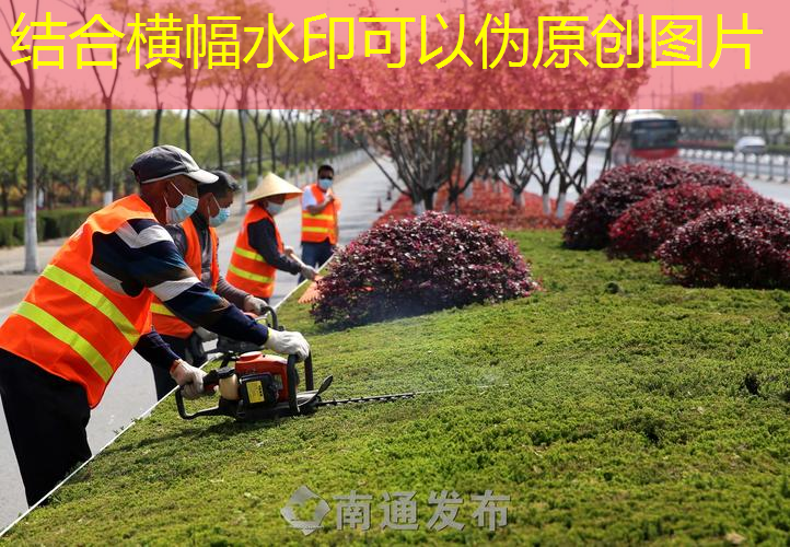 百保利网球拍是哪个国家的