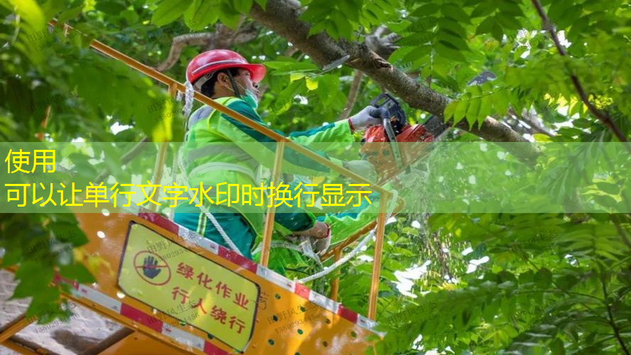 大拍面王子网球拍子