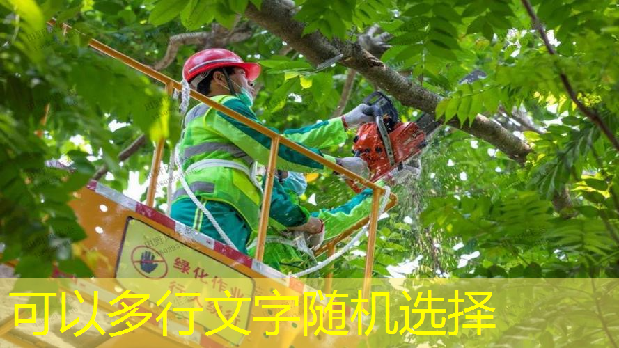 网球拍线管修复方法有哪些