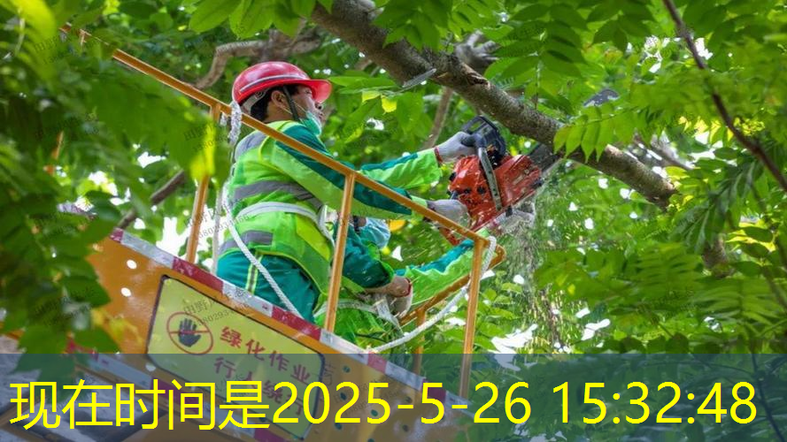 长春哪里能抛网球拍子啊