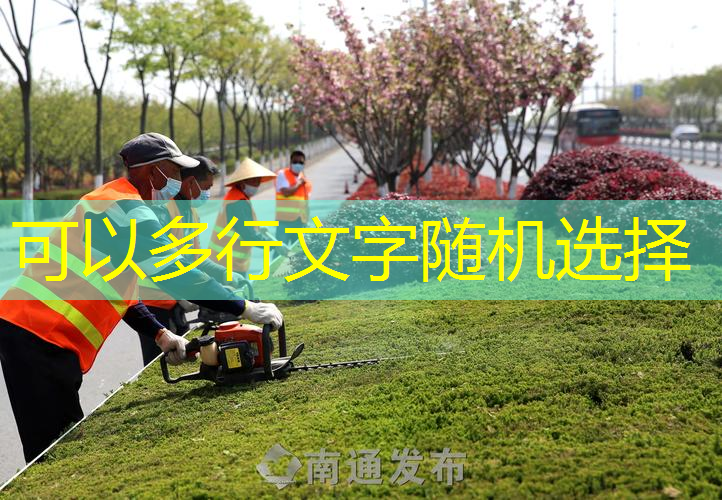 全面解析塑胶跑道材料：了解它有哪几种选项
