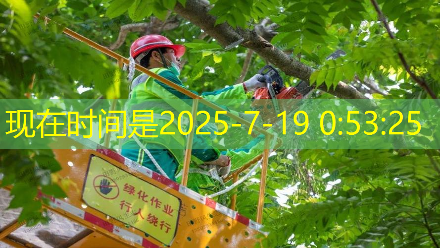 室内健身穿搭宽松短袖女
