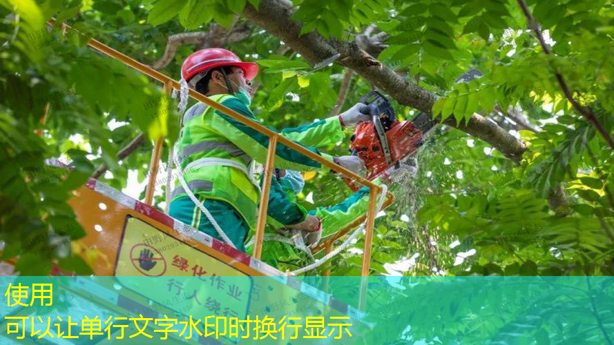 初次接触塑胶跑道材料？别担心，我们给你分类指南！